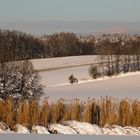 Auf dem Heimweg