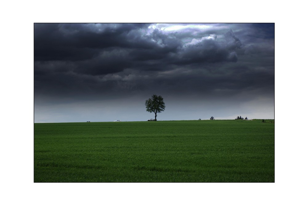 ...auf dem Heimweg...