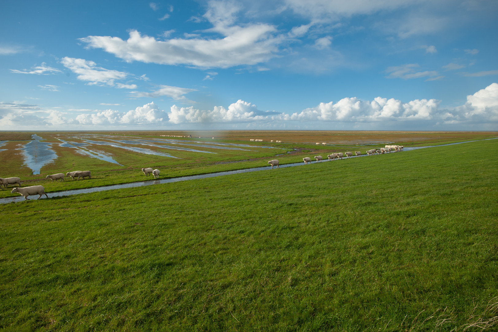 Auf dem Heimweg