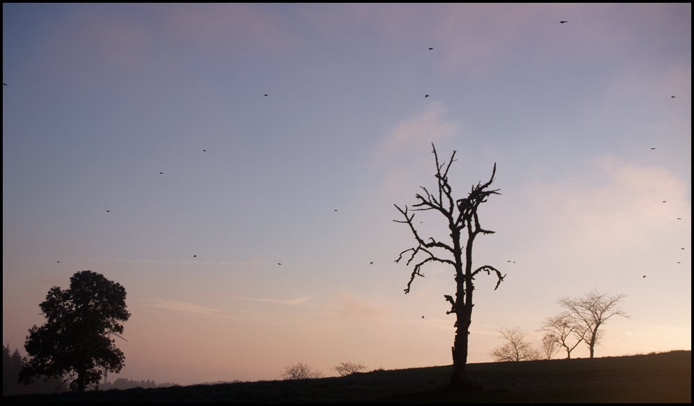 Auf dem Heimweg