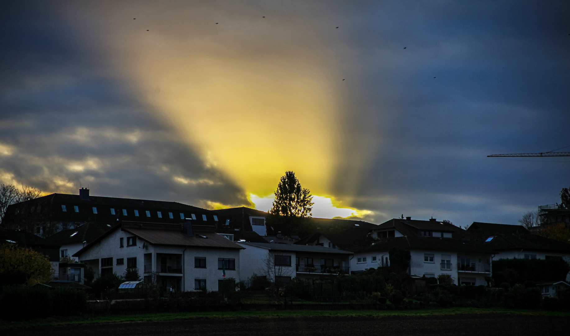 Auf dem Heimweg unseres....