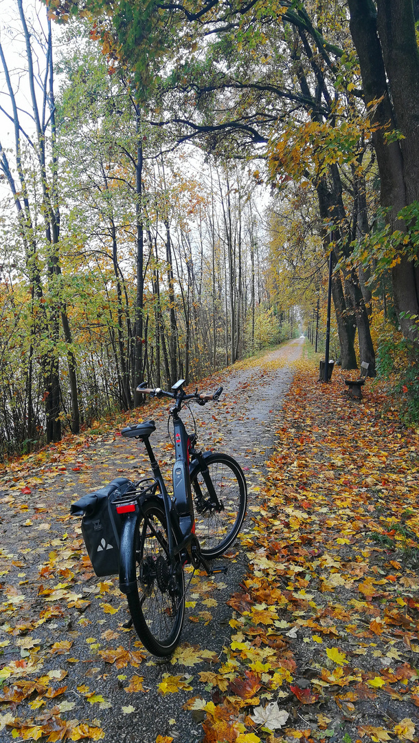 auf dem Heimweg von der Arbeit 