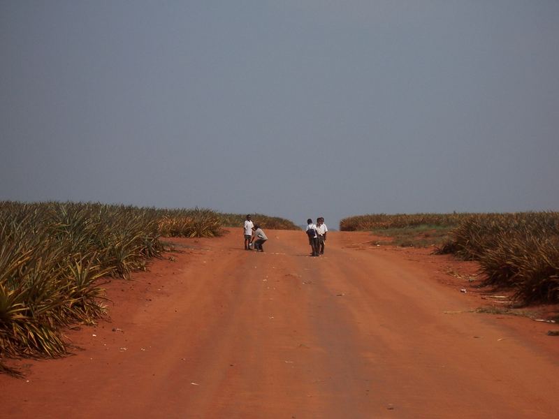 ... auf dem Heimweg von der Schule