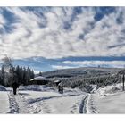 auf dem Heinrich-Heine-Weg zum Brocken (Harz)