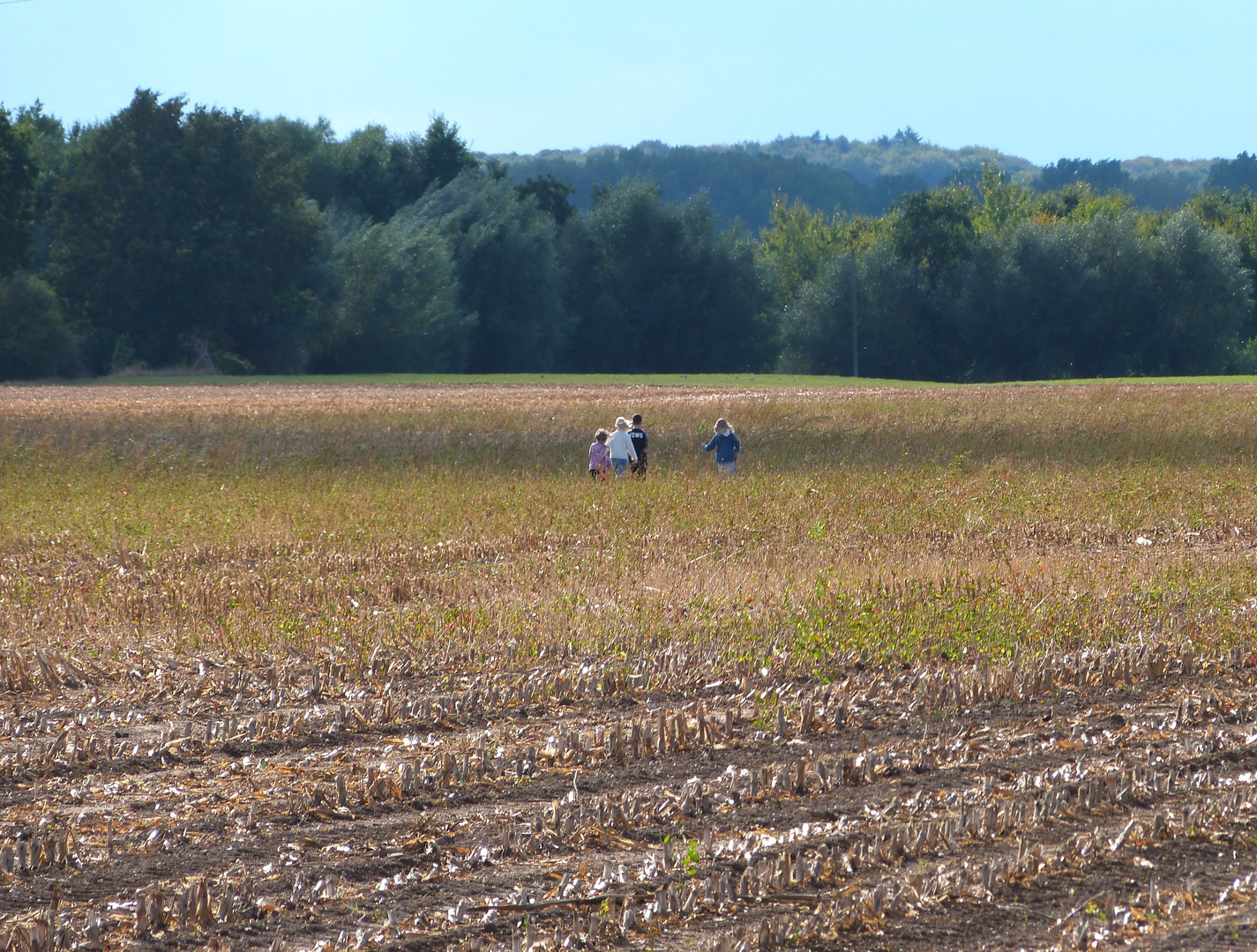 Auf dem Herbstacker