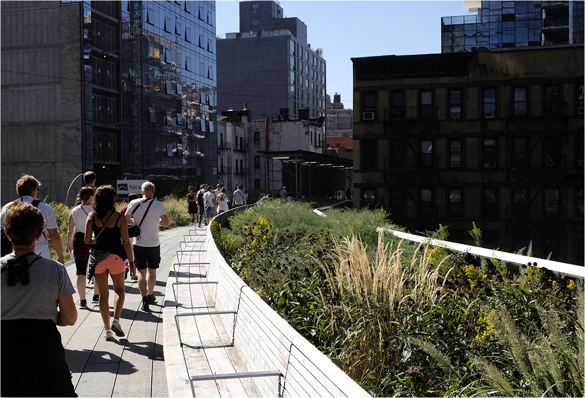 Auf dem High Line Park