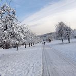 auf dem Hin-Weg