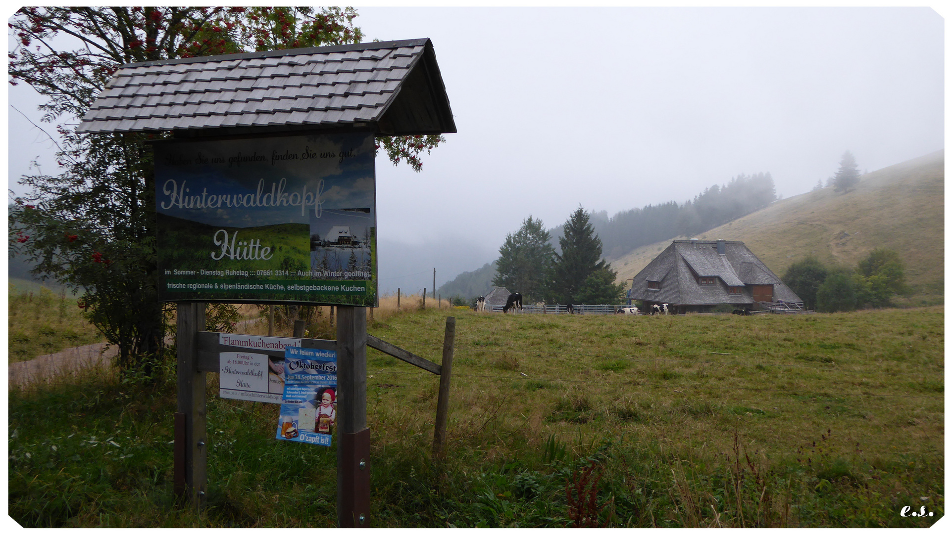 Auf dem Hinterwaldkopf  (Gebiet Feldberg)