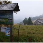 Auf dem Hinterwaldkopf  (Gebiet Feldberg)