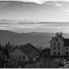 Auf dem Hochblauen ...