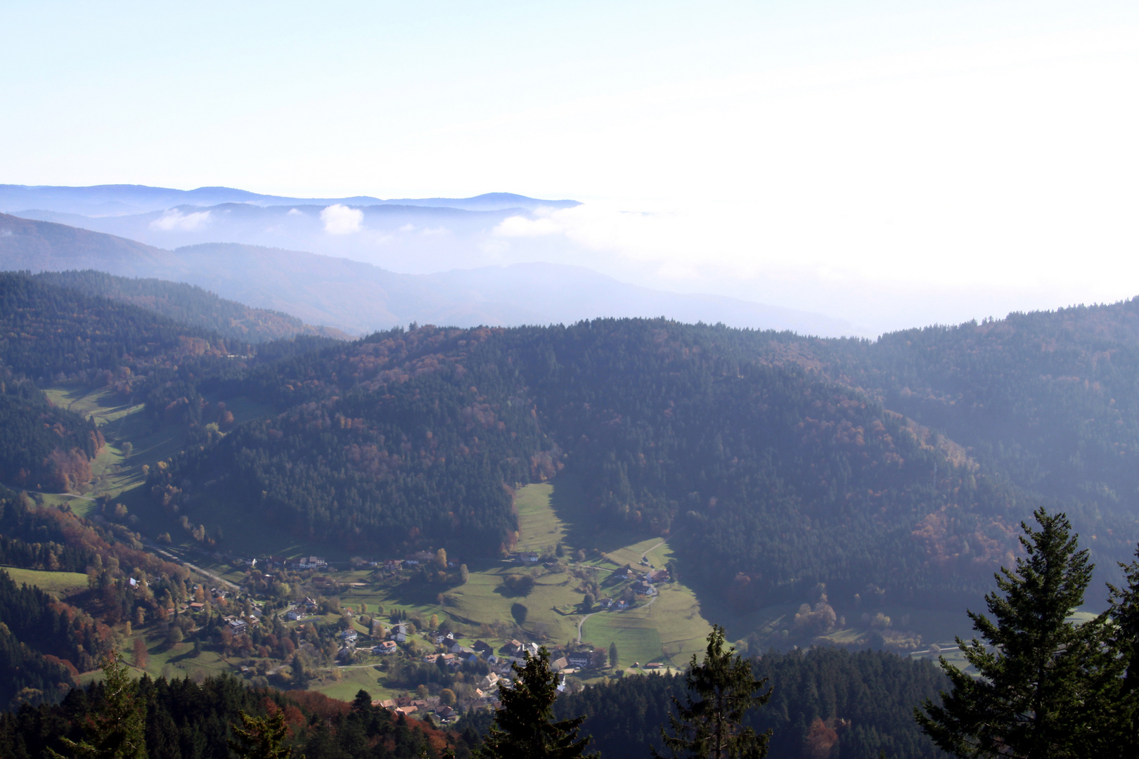 Auf dem Hochblauen, Malsburg (Kandertal)