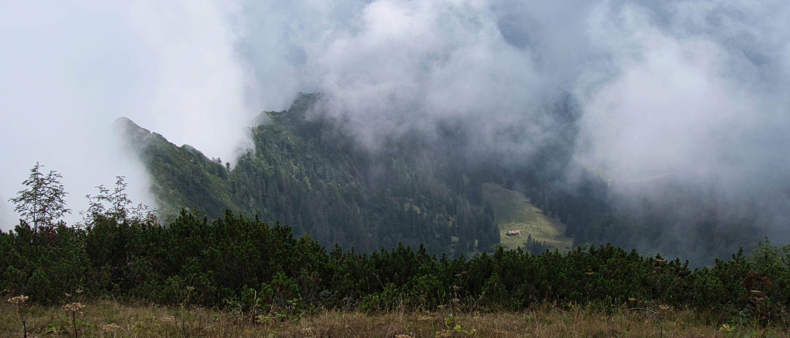 Auf dem Hochfelln