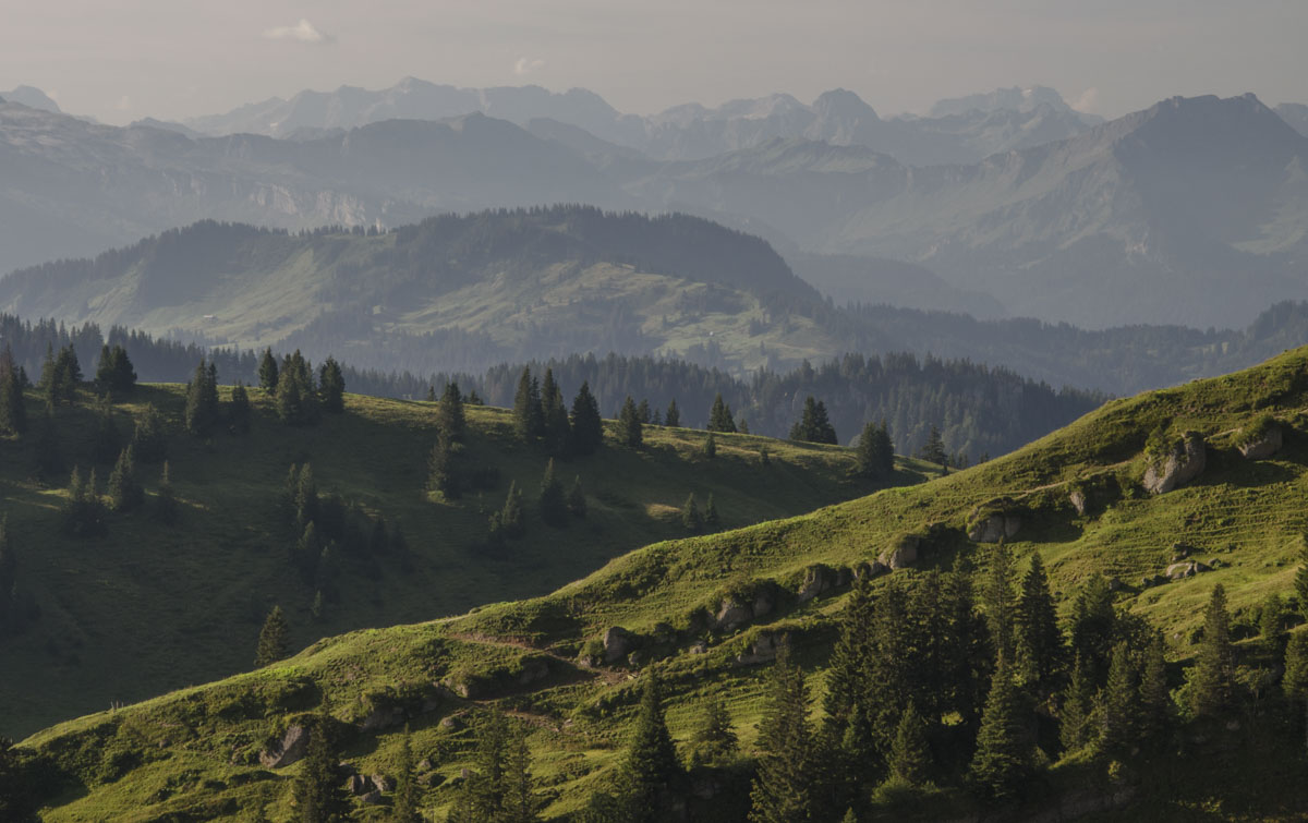 Auf dem Hochgrat