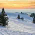 auf dem höchsten Berg der Rhön...