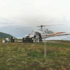 Auf dem Höchsten Berg Schottland`s .... dem Ben Nevis