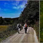 Auf dem Höhenflug-Wanderweg