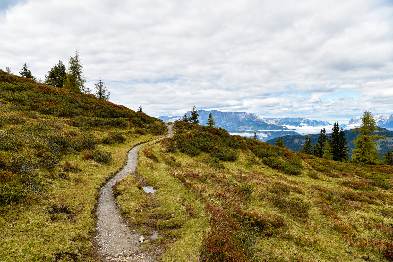 Auf dem Höhenwanderweg 01