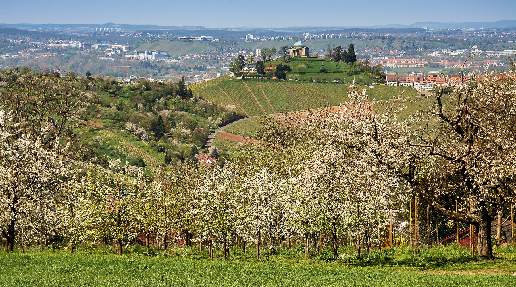 auf dem Höhenweg