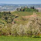 auf dem Höhenweg