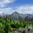 Auf dem Höhenweg Richtung Arnisee