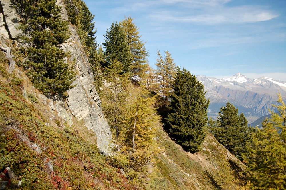 Auf dem Höhenweg von Grächen nach Saas Fee (2)