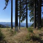 Auf dem Höhenweg von St. Märgen nach St. Peter 2