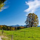 Auf dem Höhlmühlen-Rundweg (4)