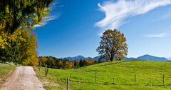 Auf dem Höhlmühlen-Rundweg (4)