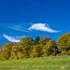 Auf dem Höhlmühlen-Rundweg (6)