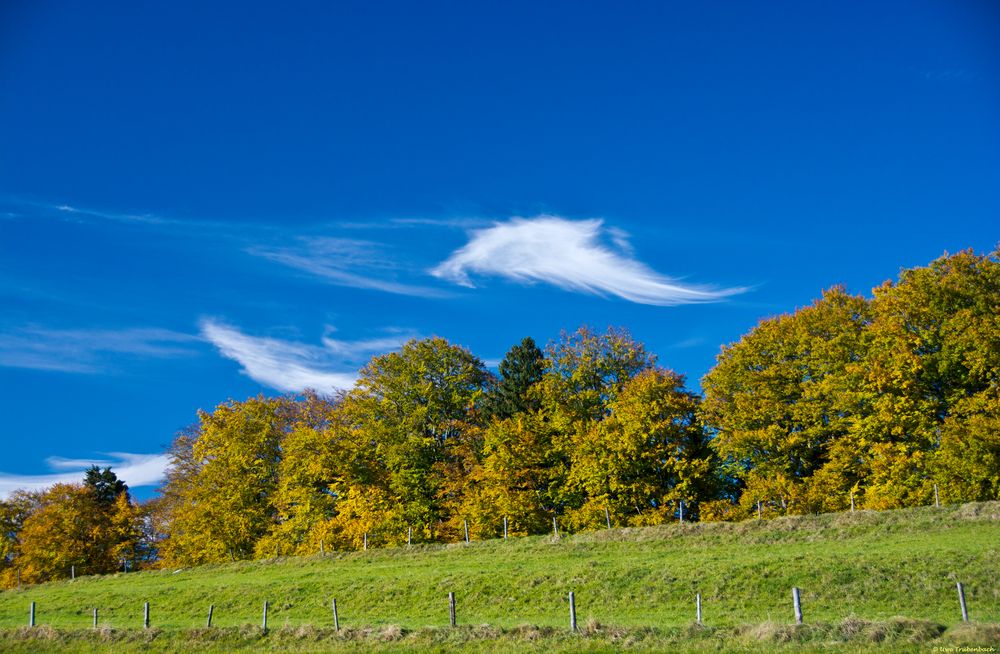 Auf dem Höhlmühlen-Rundweg (6)