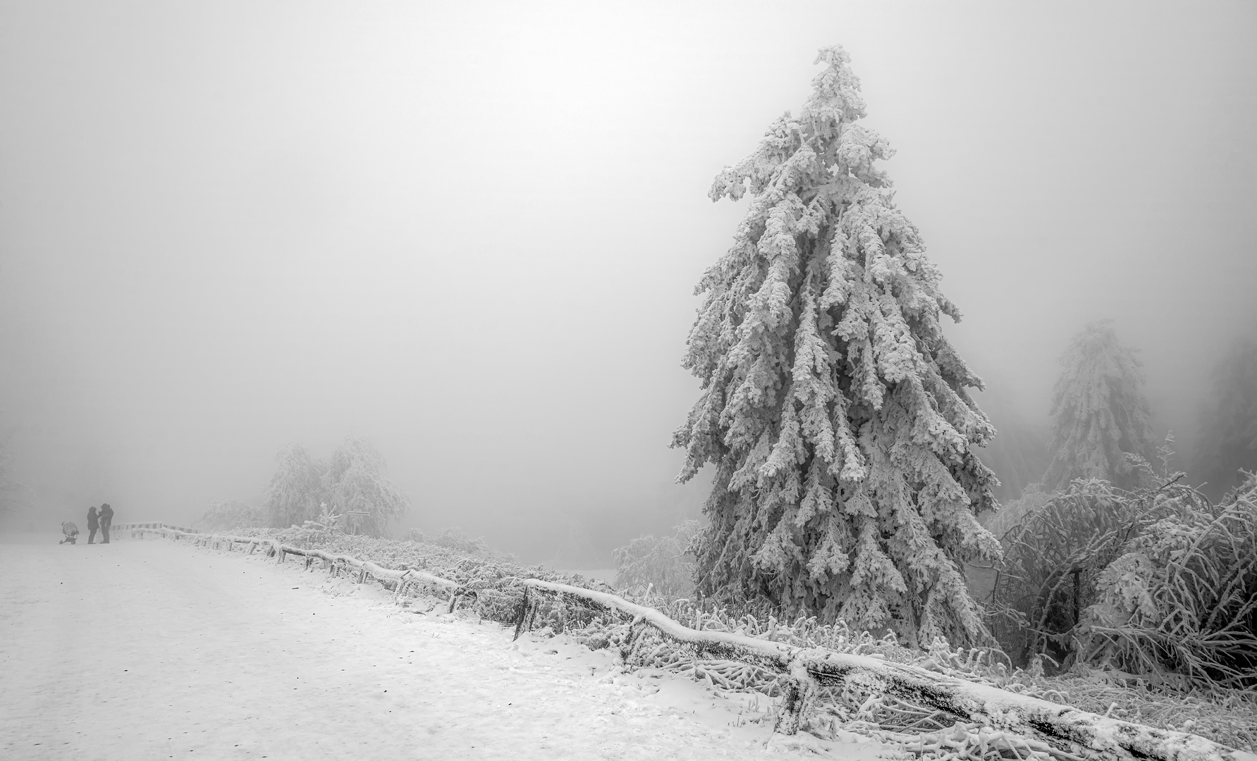 Auf dem Hohen Feldberg im Taunus