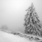 Auf dem Hohen Feldberg im Taunus