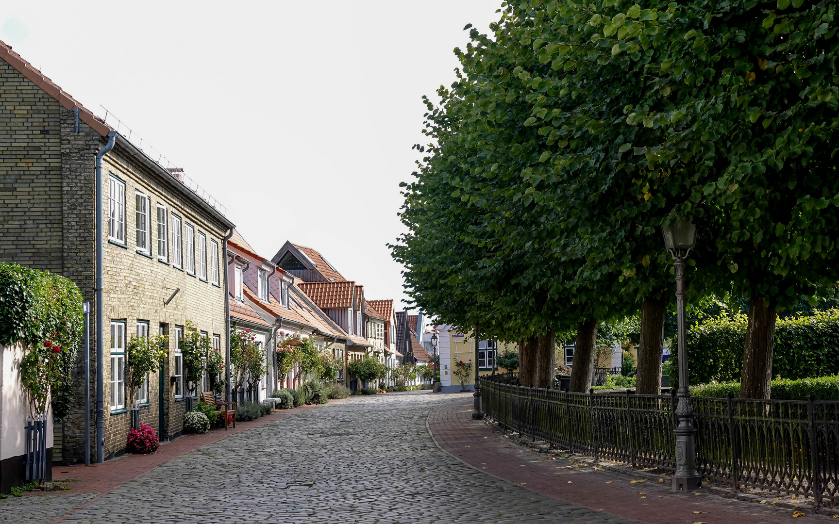 Auf dem Holm in Schleswig (3)