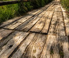 Auf dem Holzweg