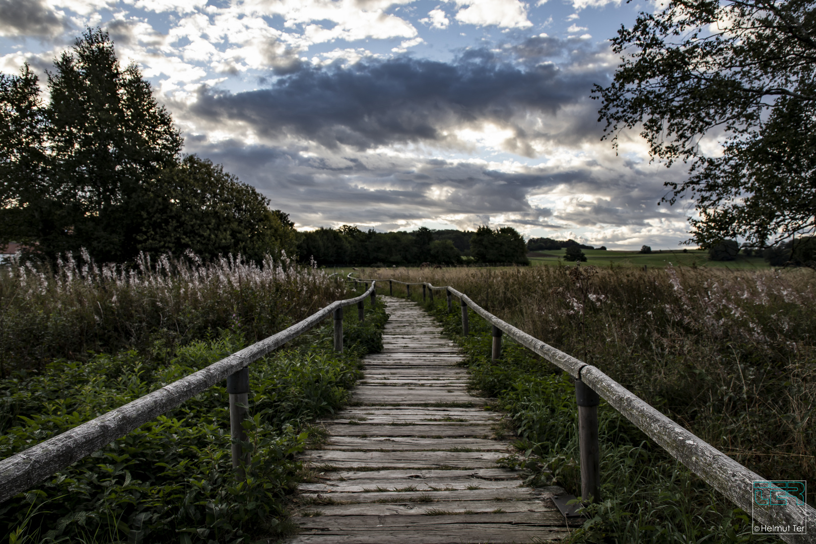 Auf dem Holzweg