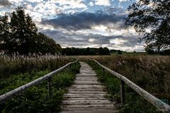 Auf dem Holzweg