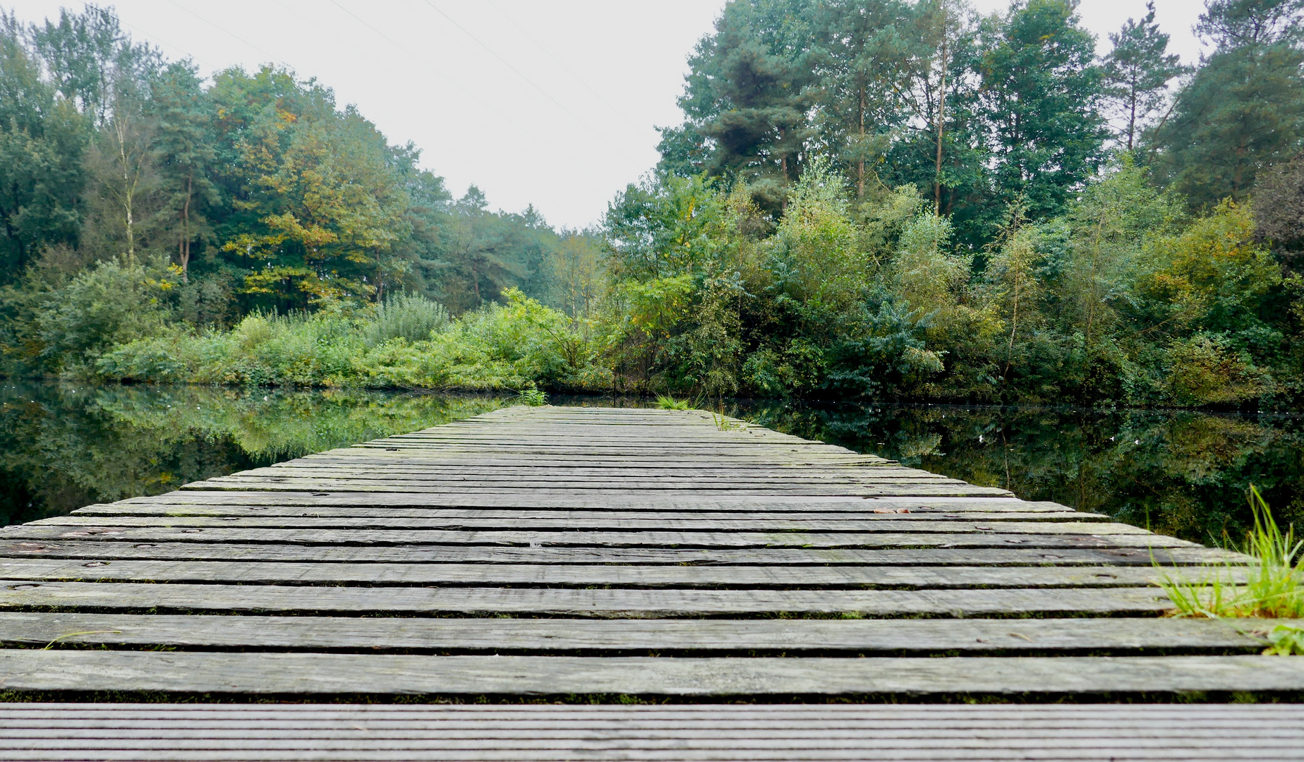 Auf dem Holzweg