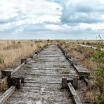 Auf dem Holzweg... (2)