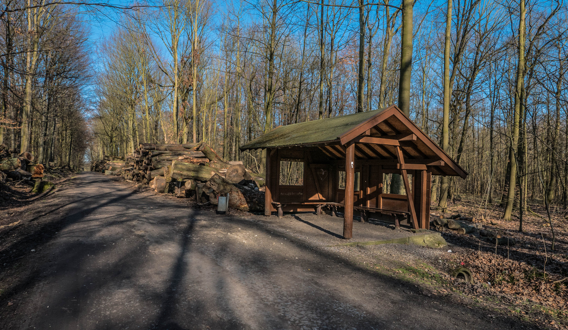 Auf dem Holzweg