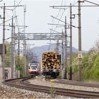 Auf dem Holzweg?