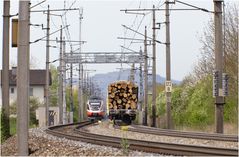 Auf dem Holzweg?