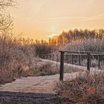 Auf dem Holzweg