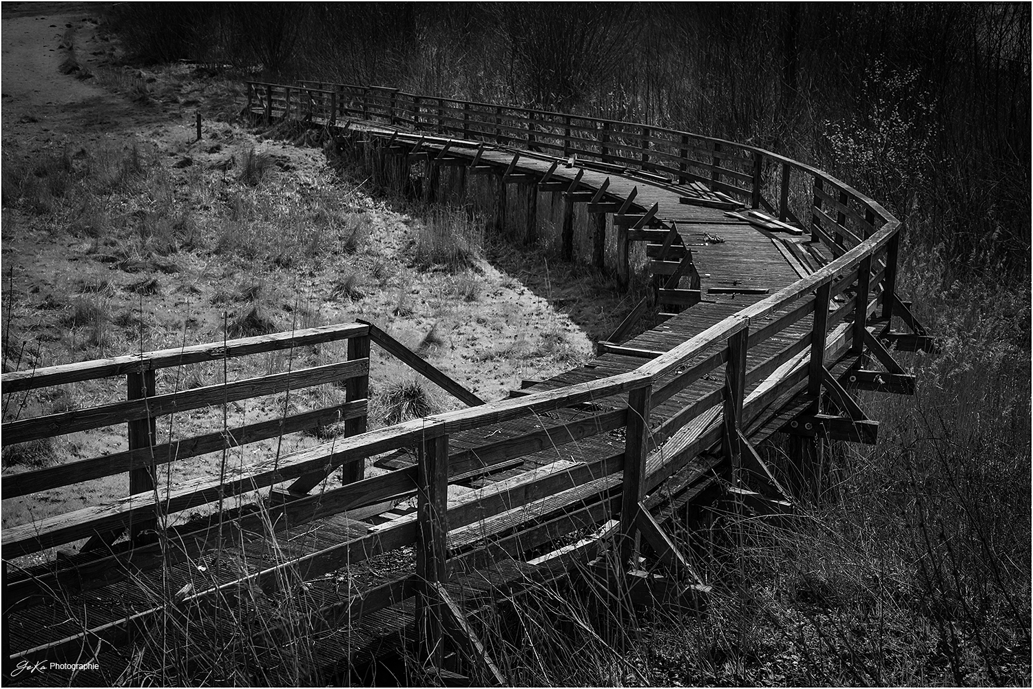 auf dem Holzweg