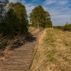 Auf dem Holzweg