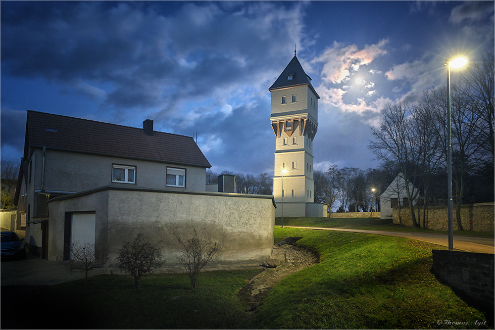 auf dem Holzweg...