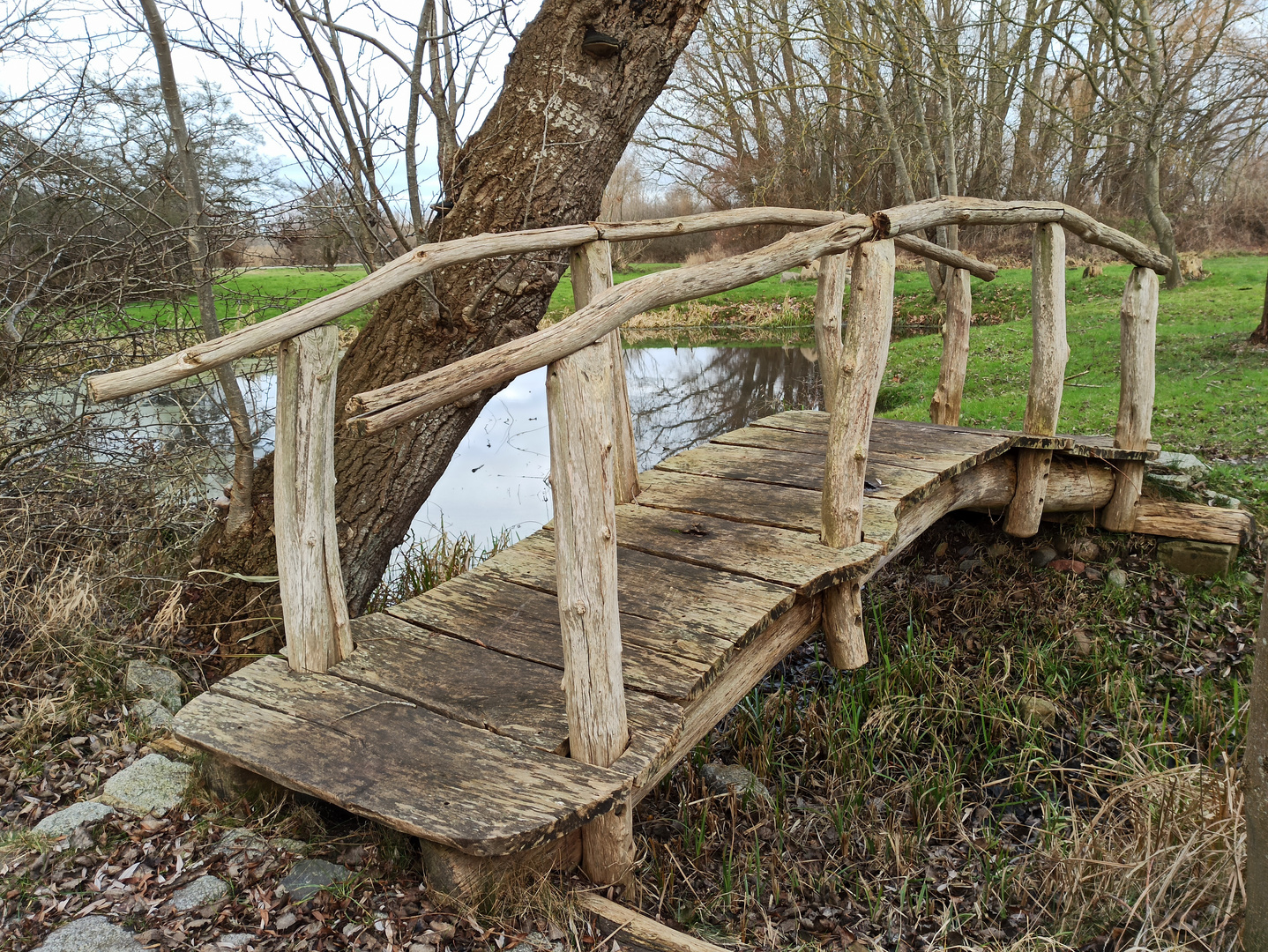 Auf dem Holzweg