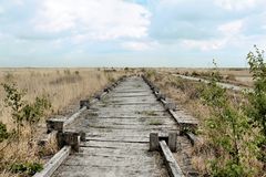 Auf dem Holzweg...