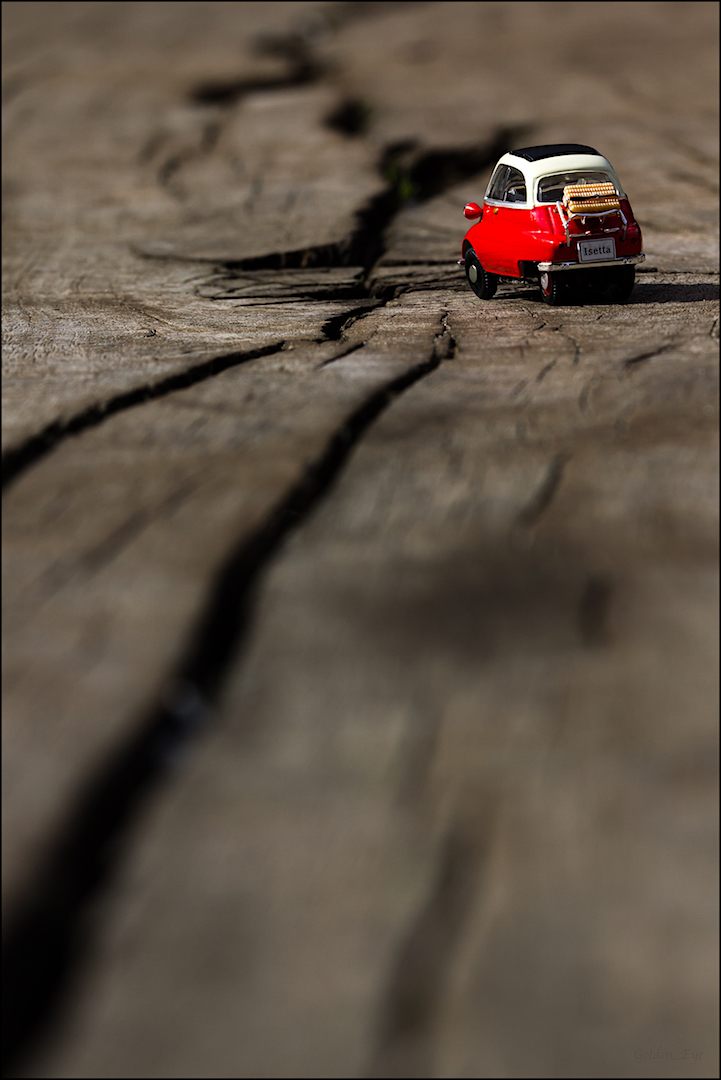 Auf dem Holzweg 