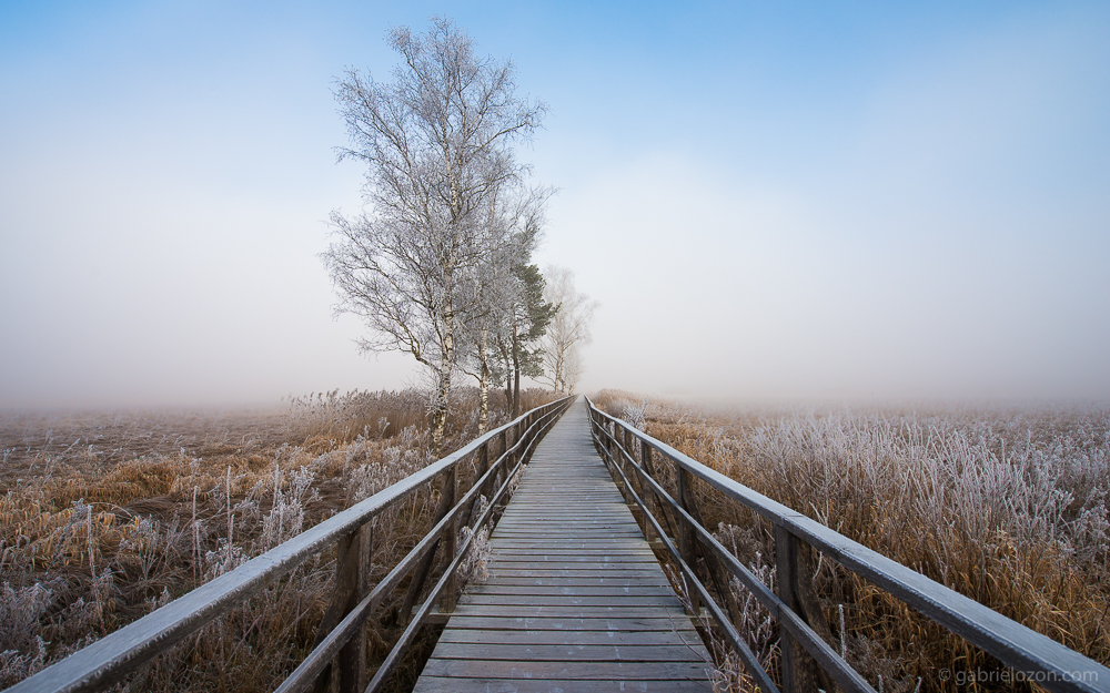 Auf dem Holzweg ;) Foto &amp; Bild landschaft, wege und