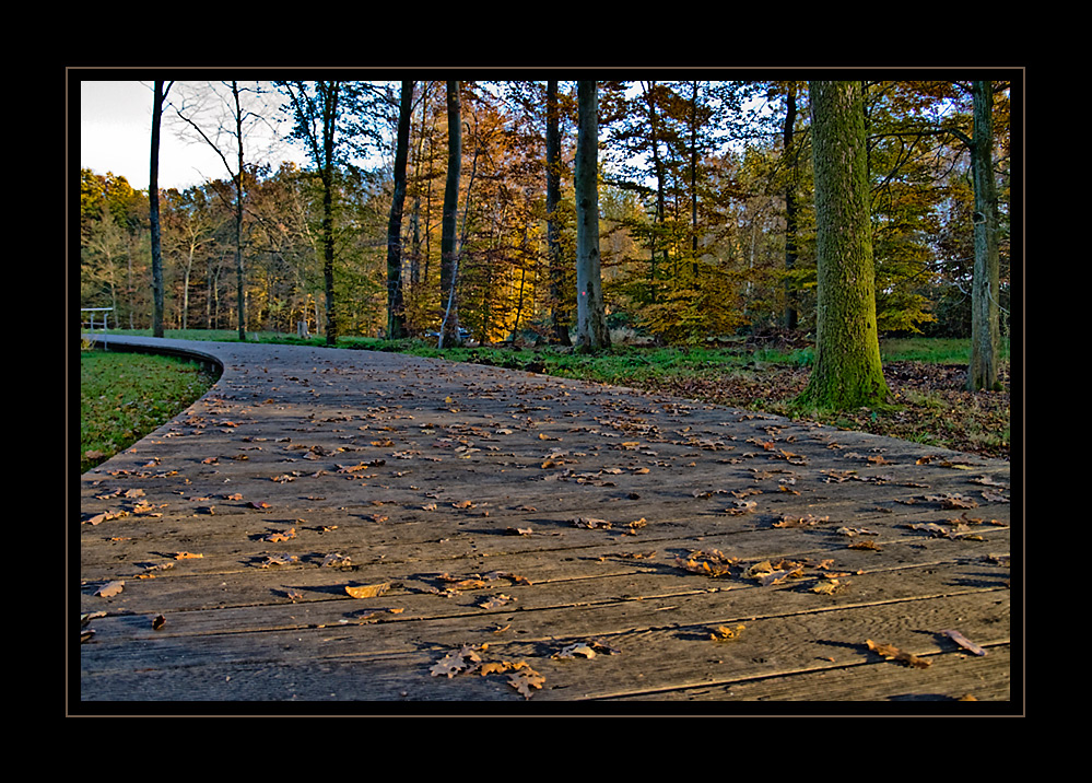 auf dem Holzweg.....